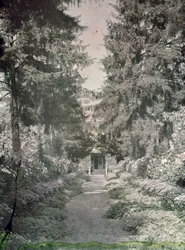 Út a Monet kertjében Givernyben, az 1920-as évek elején